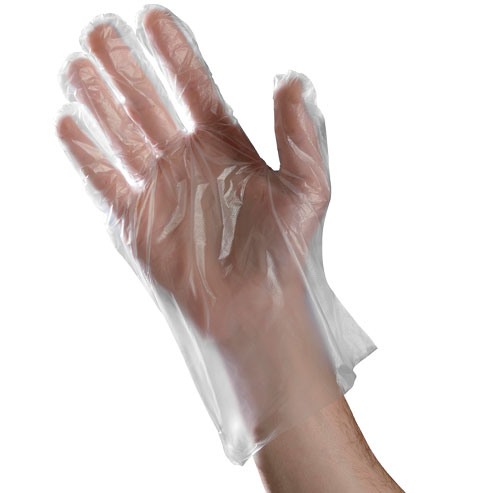 14993 Ambitex Large Poly Food  Service Gloves - 500
