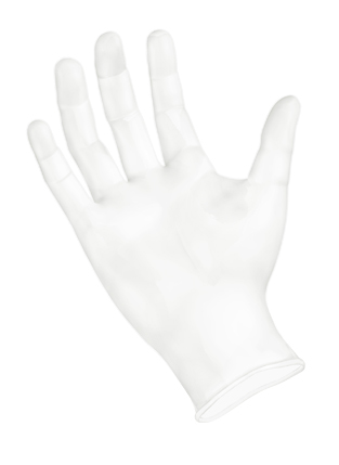 GSVF105/5004XL Extra Large  Powder Free Vinyl Gloves - 